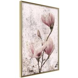 Arkiio Affisch Mature Magnolia [Poster] 30x45 Poster